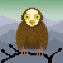 CryptoHoot No. 1017