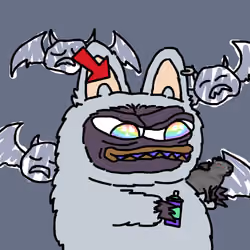 2568