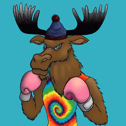 Moose #355