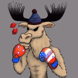 Moose #427