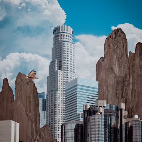 Displaced Giraffe In The City