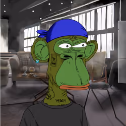 PAYC Degen Hours #7519
