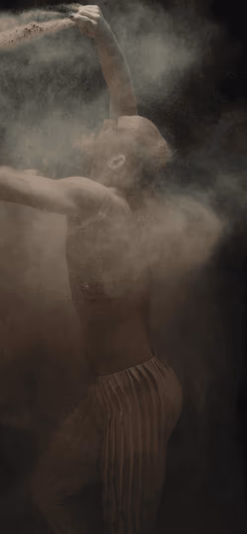 Item #4900060006 Media