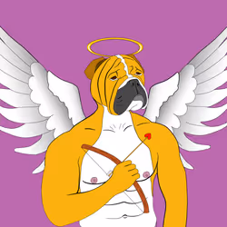 Chad Doggo #2