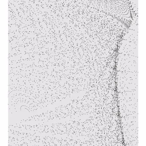 Monochrome Generative Glitch