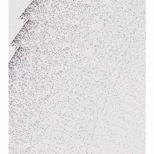 Monochrome Generative Glitch