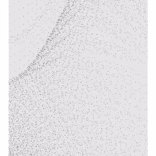 Monochrome Generative Glitch