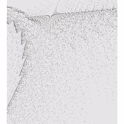 Monochrome Generative Glitch