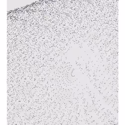 Monochrome Generative Glitch #46