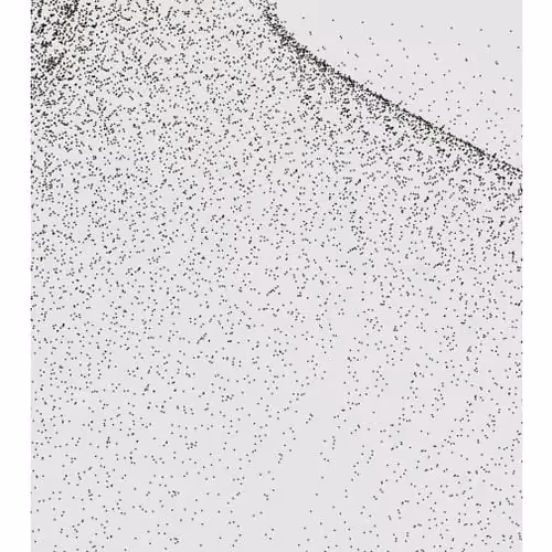 Monochrome Generative Glitch