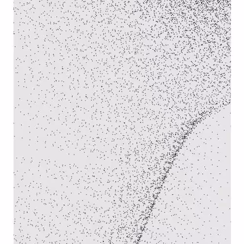 Monochrome Generative Glitch