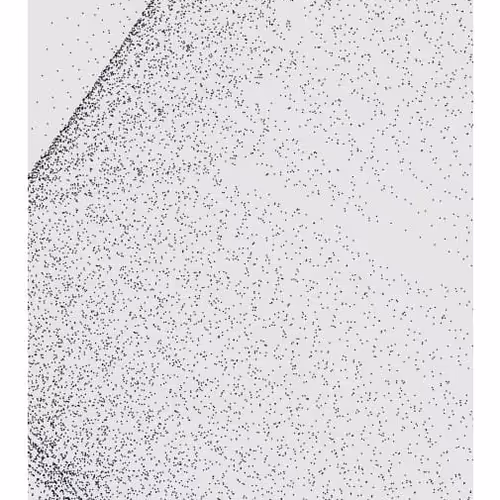 Monochrome Generative Glitch