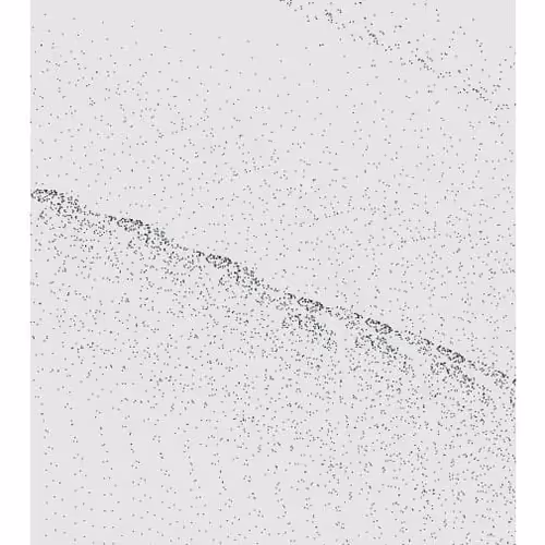 Monochrome Generative Glitch