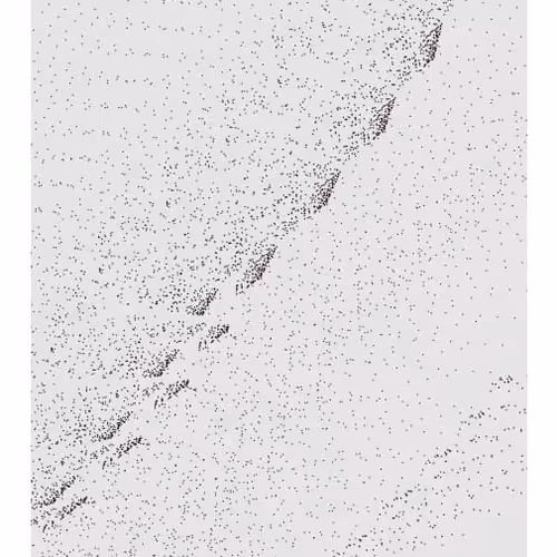 Monochrome Generative Glitch