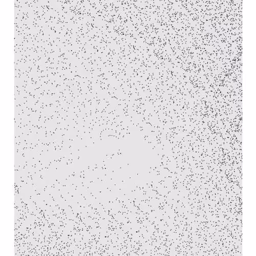 Monochrome Generative Glitch
