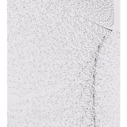 Monochrome Generative Glitch #156