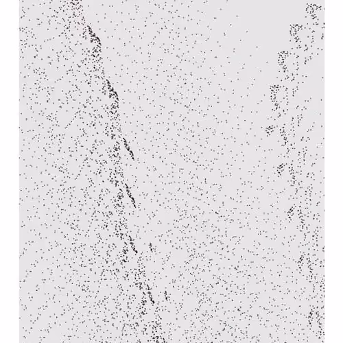 Monochrome Generative Glitch