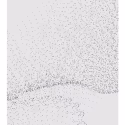Monochrome Generative Glitch #395