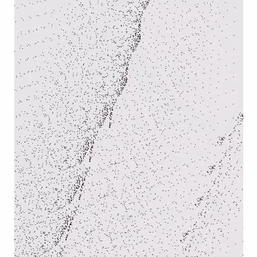 Monochrome Generative Glitch