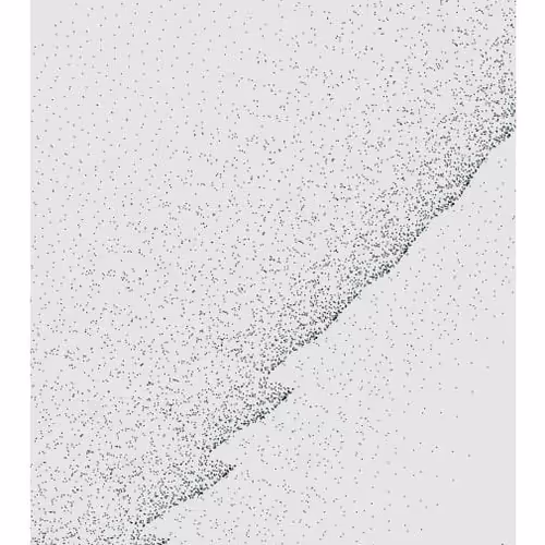 Monochrome Generative Glitch