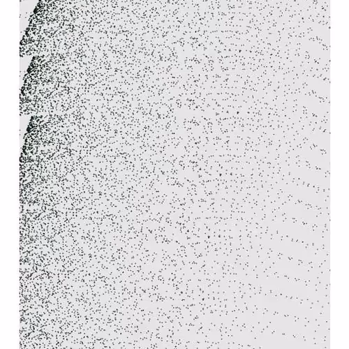 Monochrome Generative Glitch