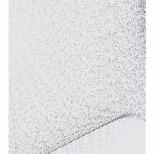 Monochrome Generative Glitch