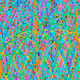 504