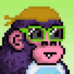 CyberKong #1596