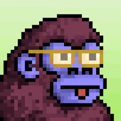 CyberKong #4