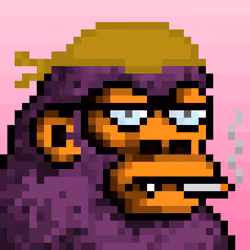CyberKong #999