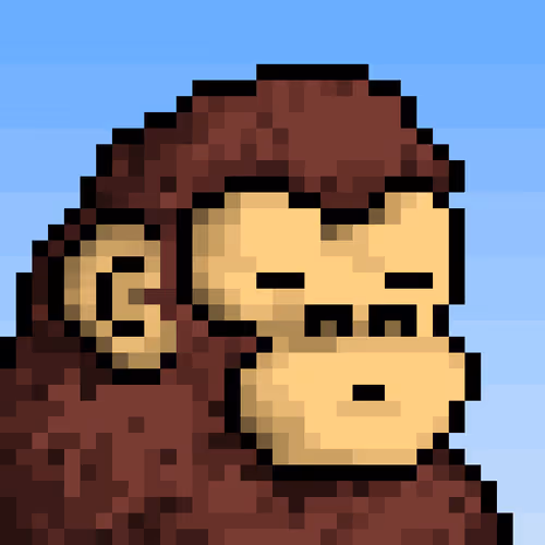DonkeyKong Jr #1489