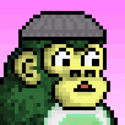 CyberKong #1648