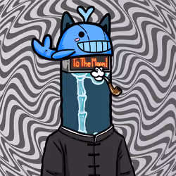 Dreamer Alpie