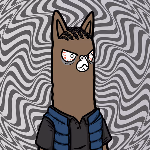 Dreamer Alpies