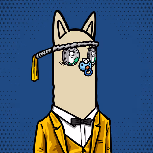 slaapkop.eth Ethereum Name Service (ENS and .eth domain) PFP