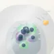 91
