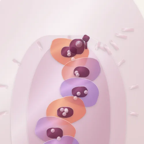 27