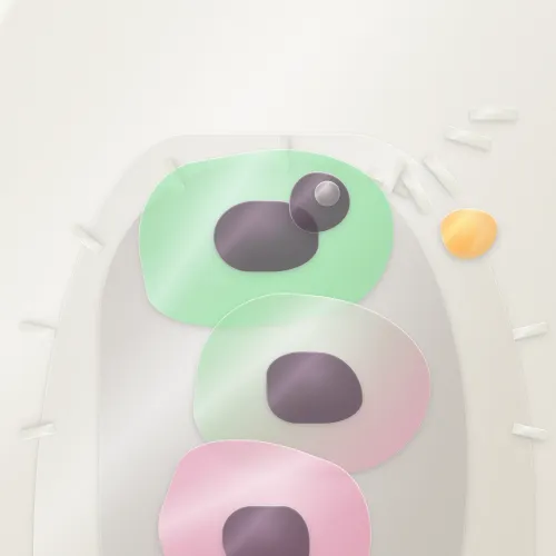 151