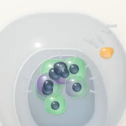 Biom #91