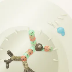 111