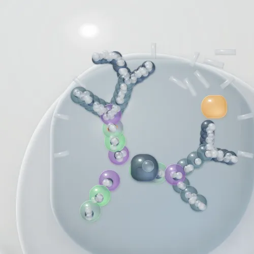 Biom #104
