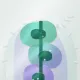 24