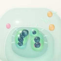 Biom #145
