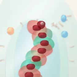 114