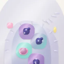 65