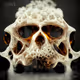 Ancient Alien Skulls