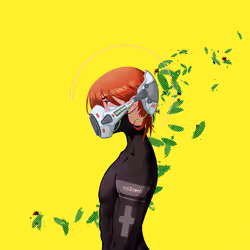 251