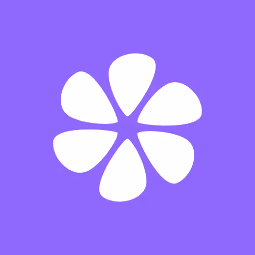 Lenster Supporter