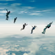 Higher than Birds