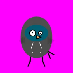 burd #3434